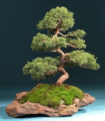  Blooming Bonsai: A Visual Symphony of Miniature Trees