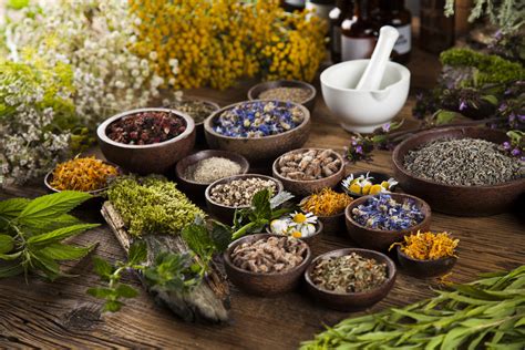 Glimpses into Traditional Indonesian Medicine: A Journey Through Healing Herbs and Ancient Practices!